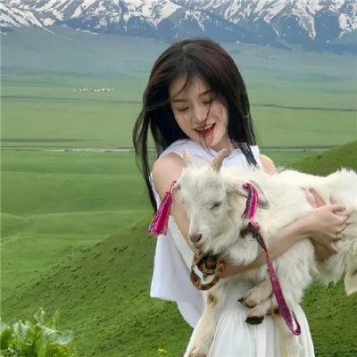 泡影昙花